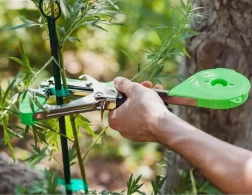 2931-Capsator Grădină pentru Legat Plante