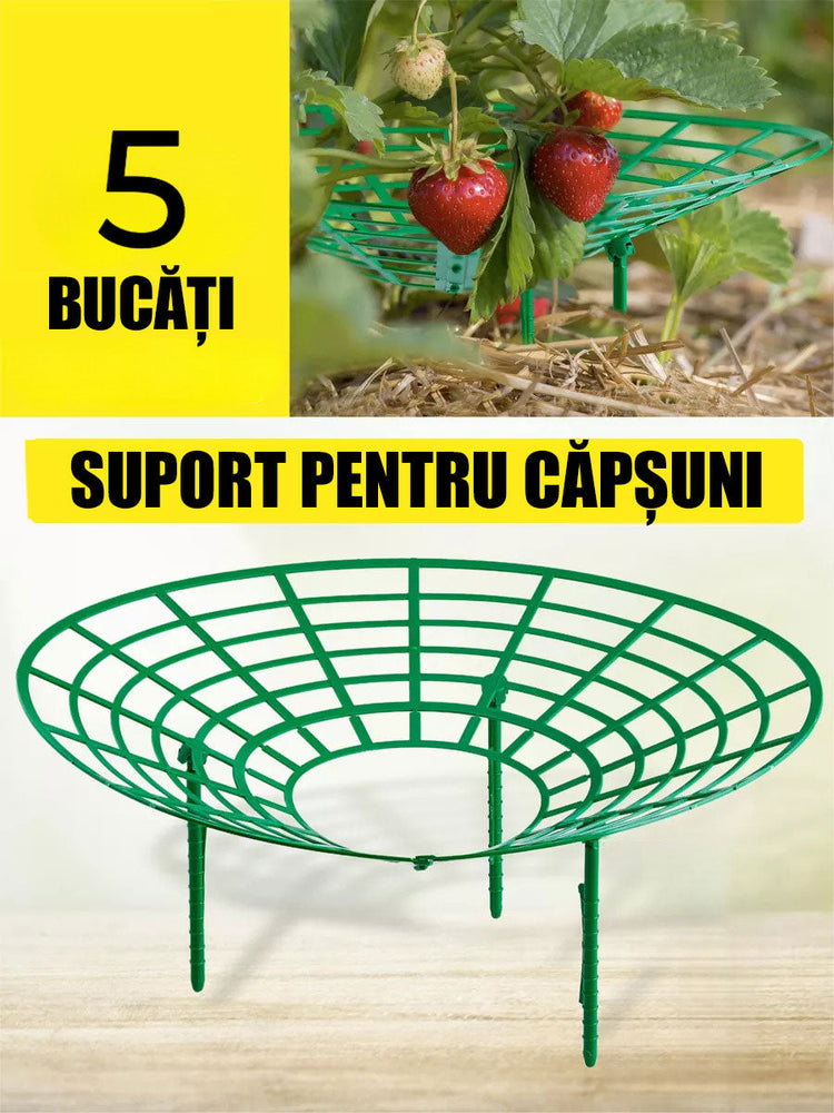 3809 - Suport pentru căpșuni (set de 5 bucăți)